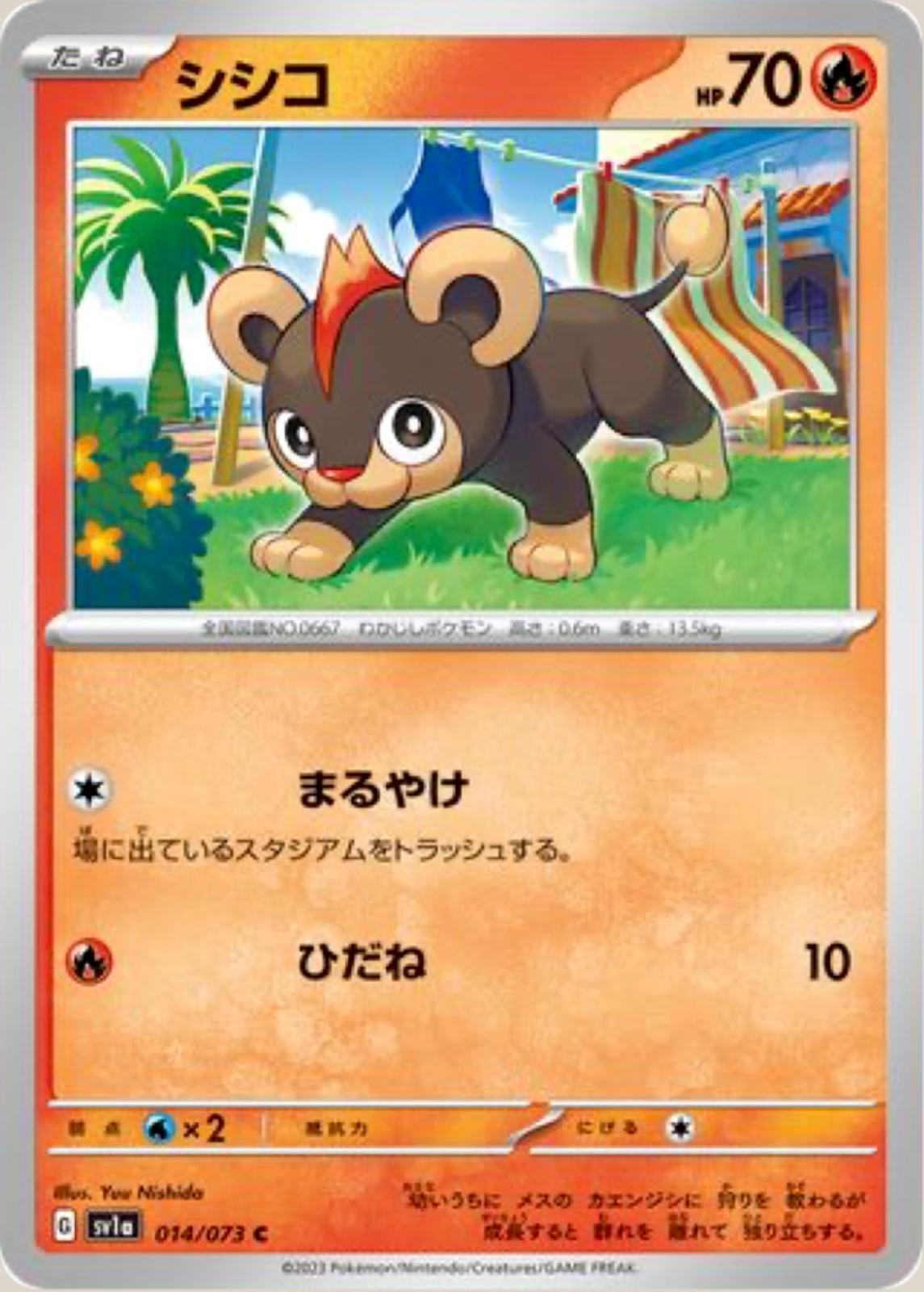 Litleo #14