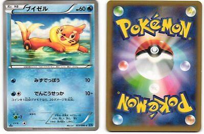 Buizel #23