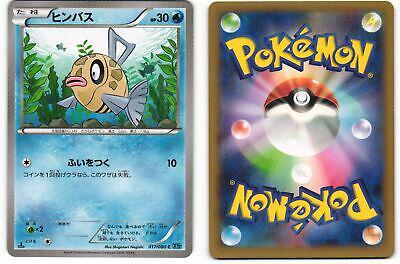 Feebas #17