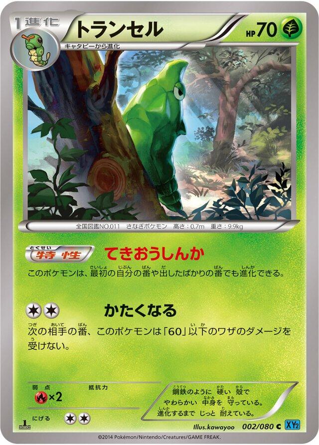 Metapod #2