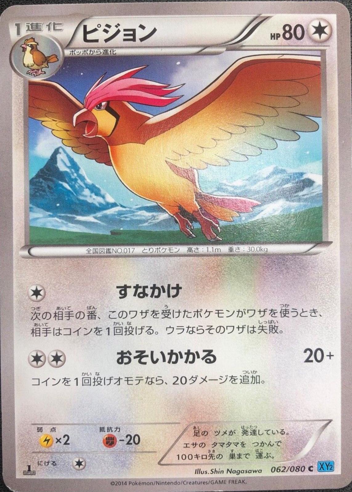 Pidgeotto #62