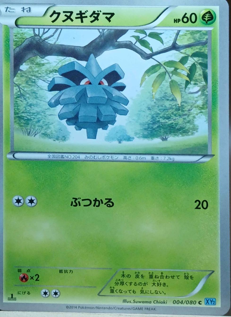Pineco #4