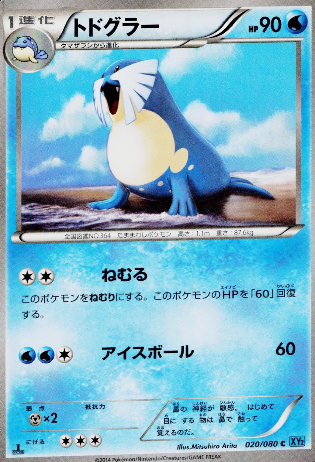 Sealeo #20