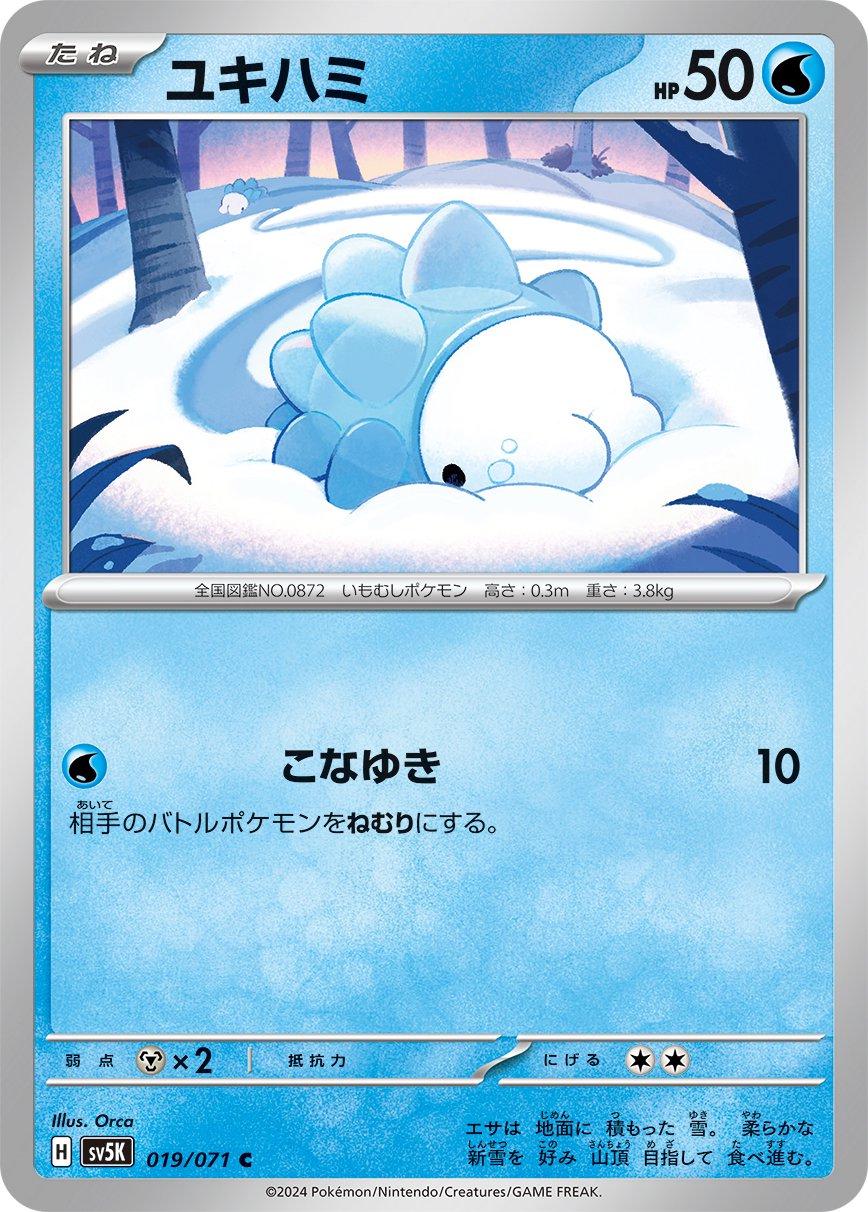 Snom #19