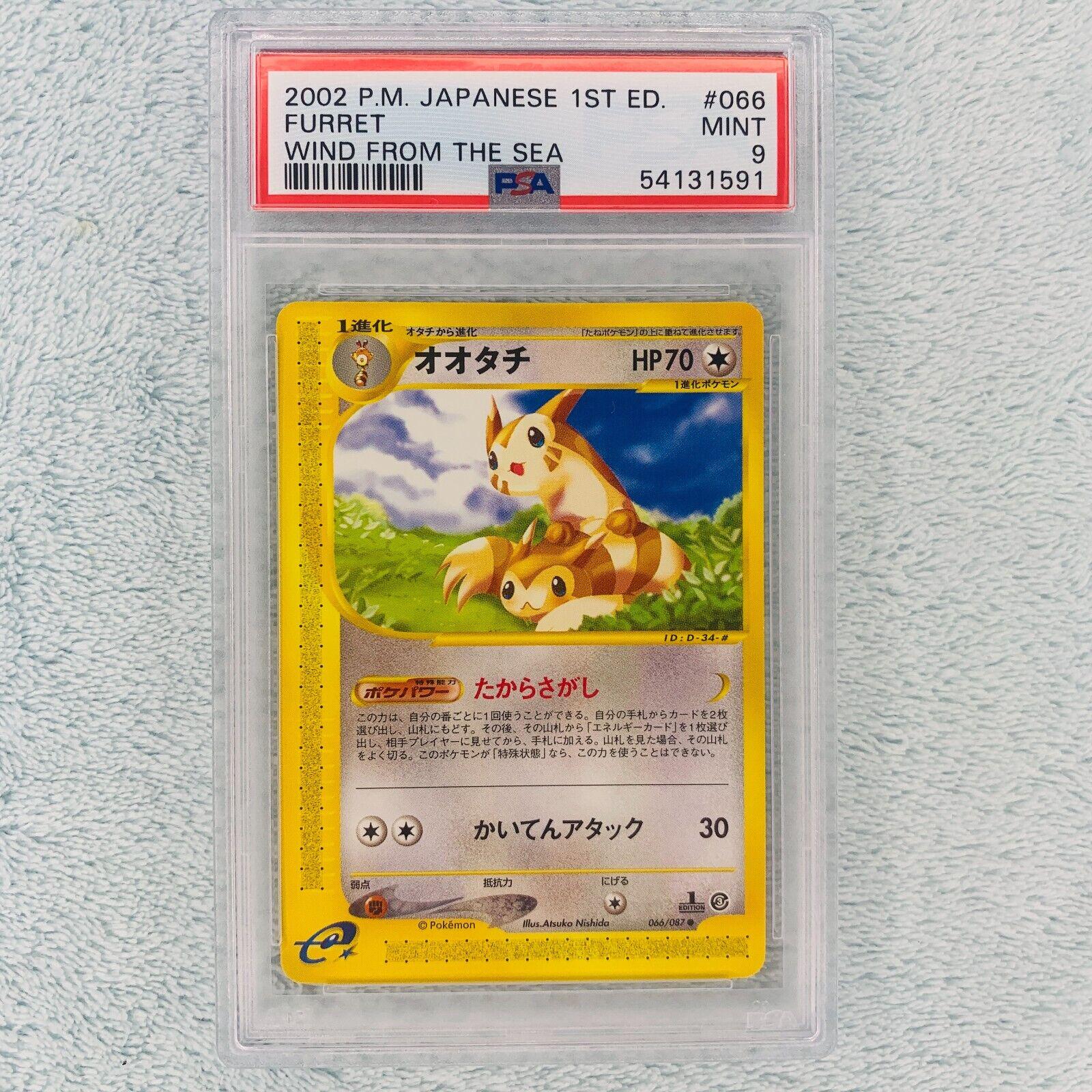 Furret #66