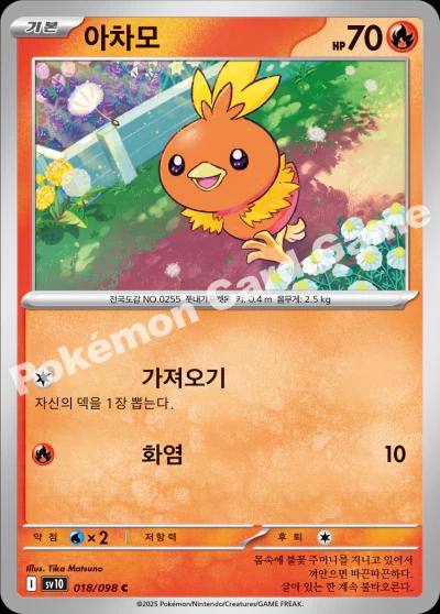 Torchic #18