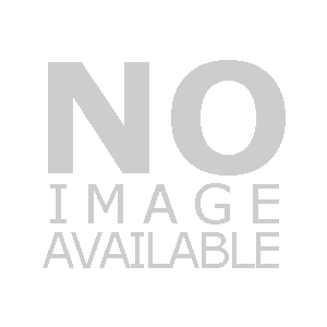 Charmander #66/S-P
