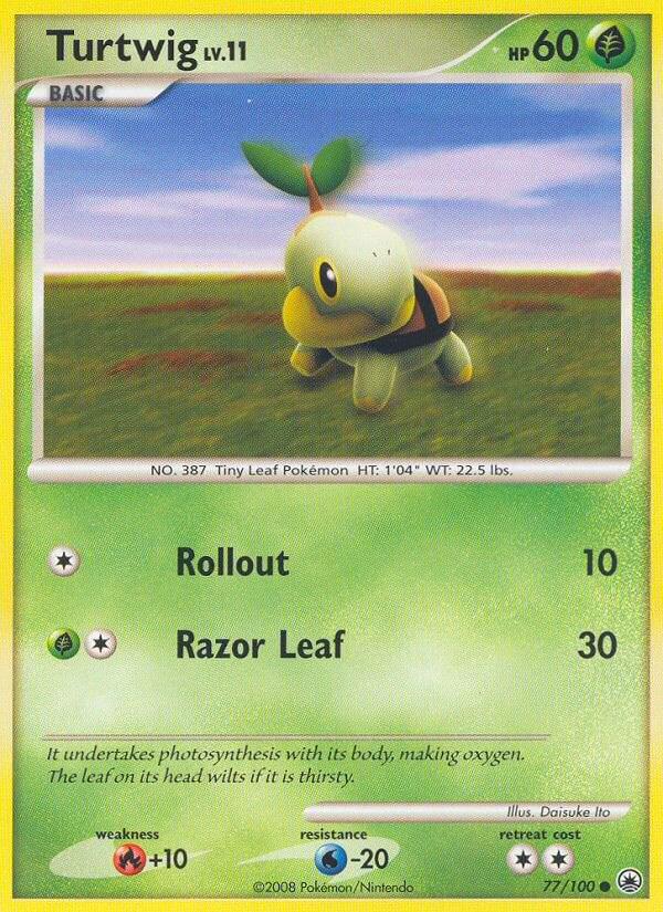 Turtwig #77