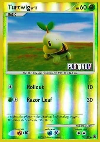 Turtwig [Stamped] #77 #77