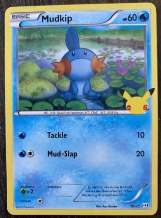 Mudkip #19