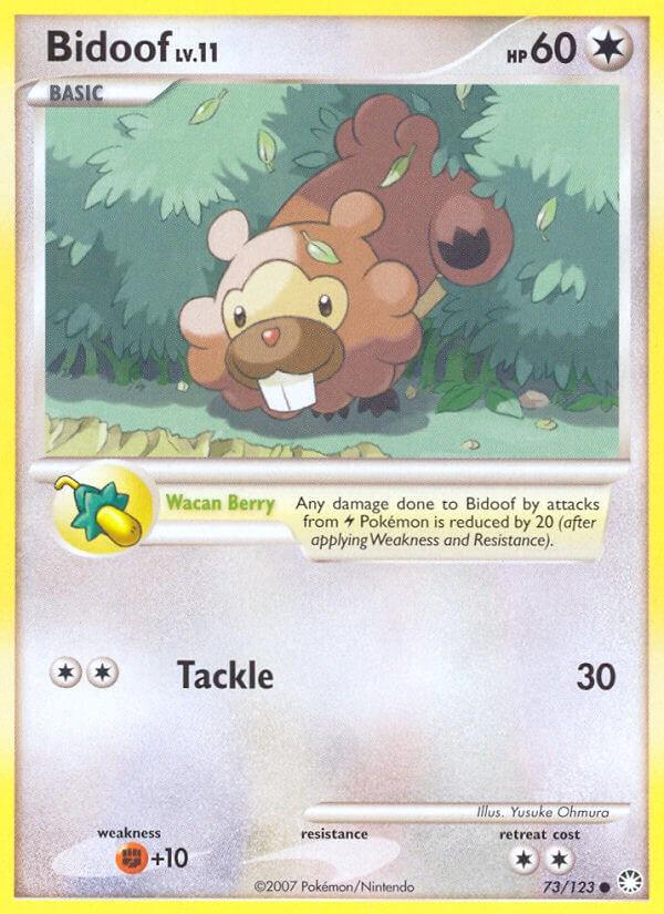 Bidoof #73