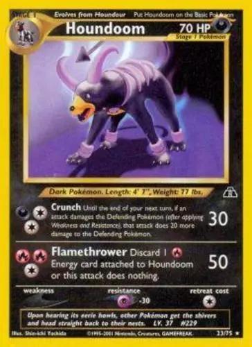 Houndoom #23