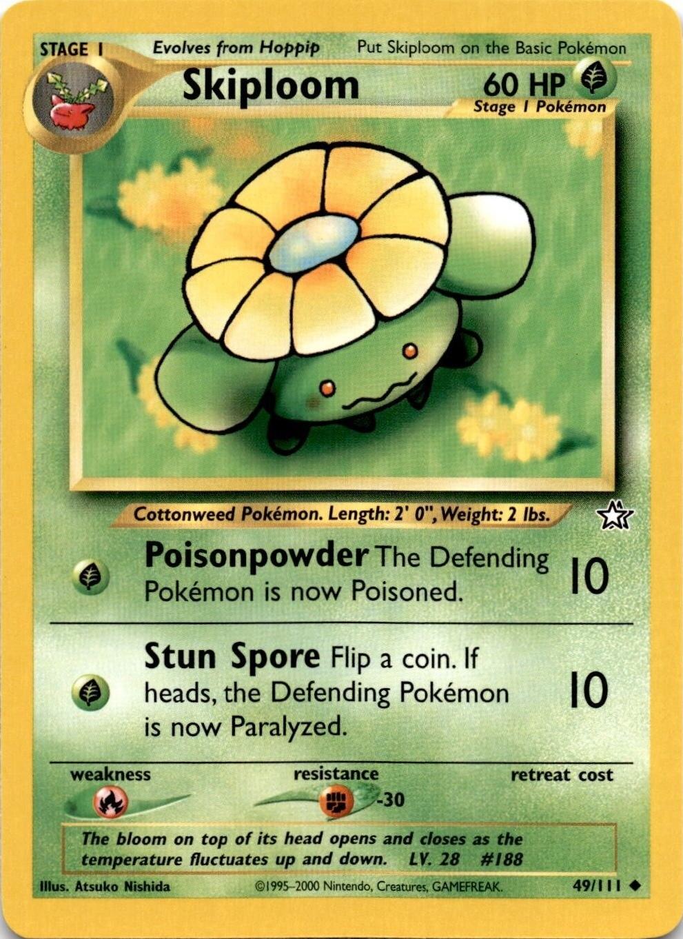 Skiploom #49