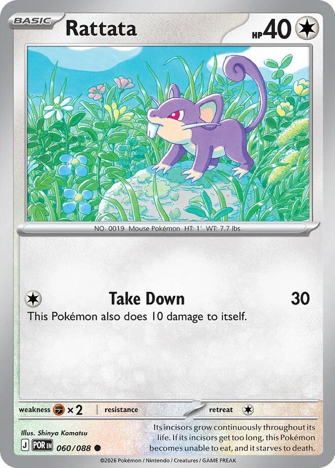 Rattata #60