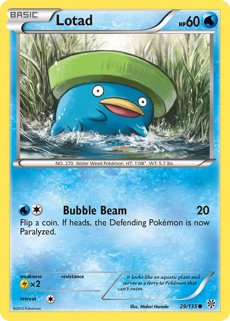 Lotad #29