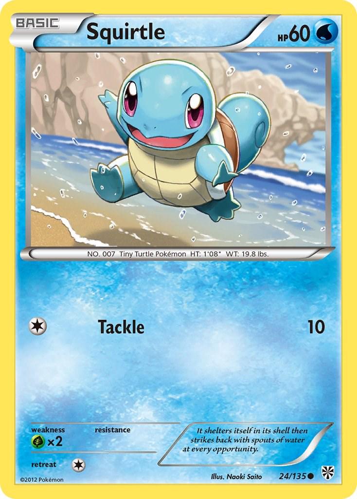 Squirtle #24
