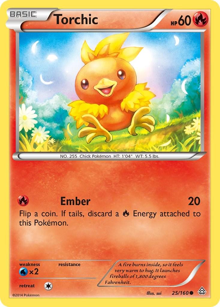 Torchic #25