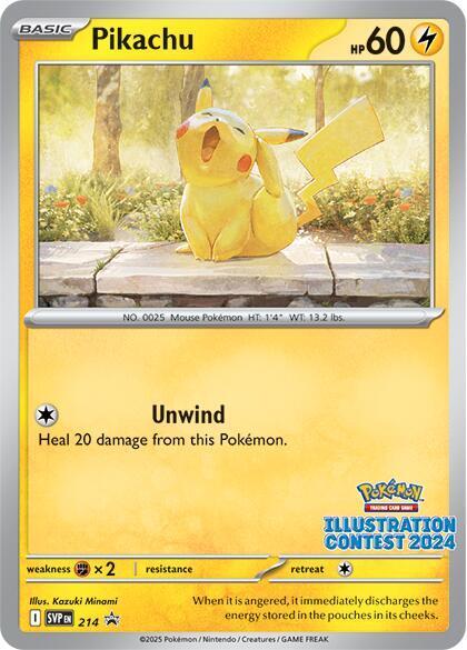 Pikachu #214