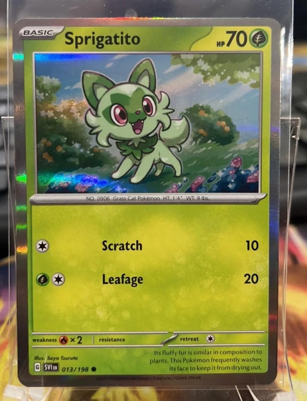Sprigatito [Holo] #13