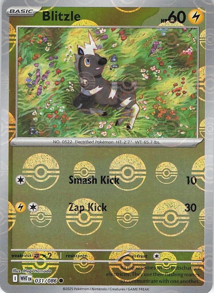 Blitzle [Poke Ball] #31