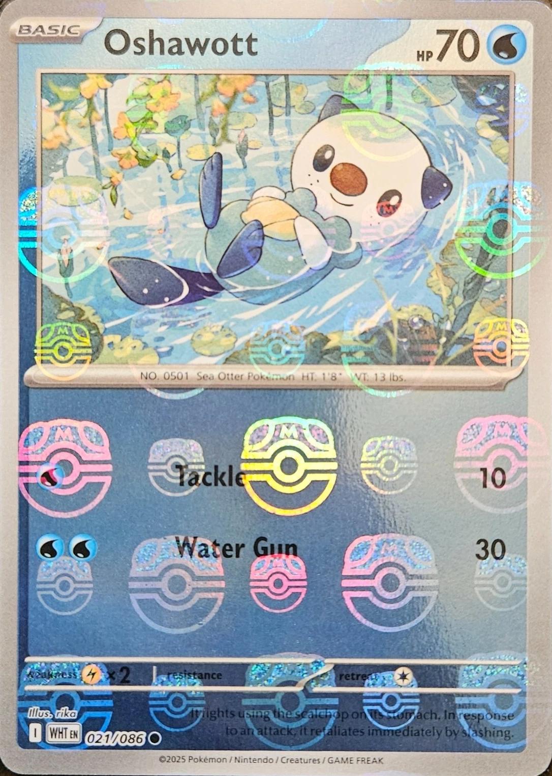 Oshawott [Master Ball] #21