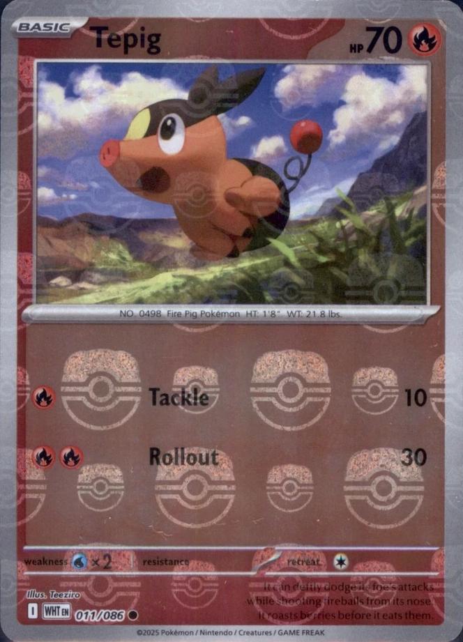 Tepig [Master Ball] #11